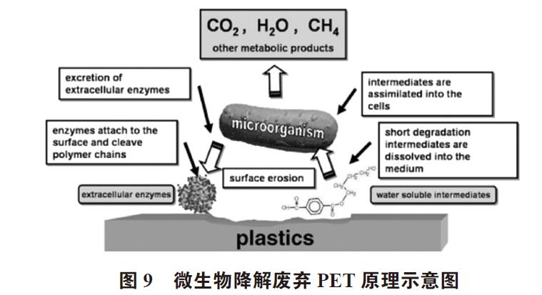 廢棄PET塑料包裝瓶的處理及再生資源化技術(shù)研究進(jìn)展